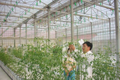 Chia sẻ nguồn gen: Thiếu kinh nghiệm thực tiễn